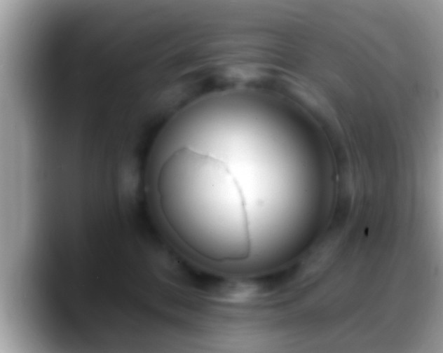 X0000088630328200706011149