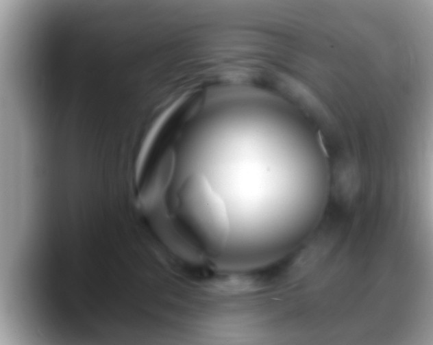 X0000088630329200706011149