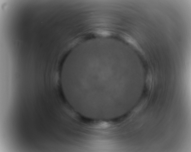 X0000088630330200706011149