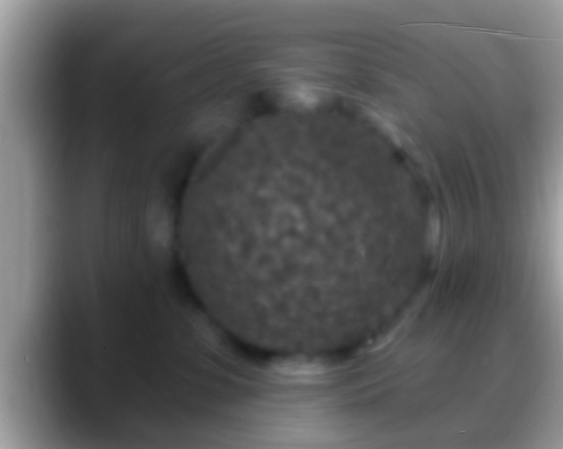 X0000088630331200706011149