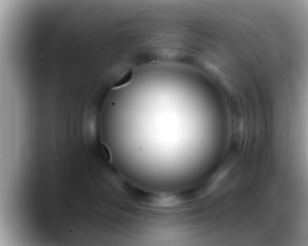 X0000088630334200706011149