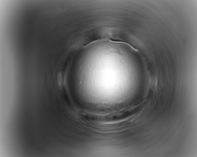 X0000088630335200706011149