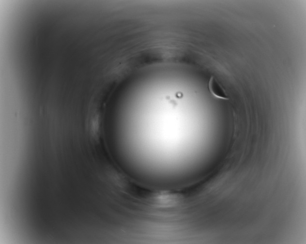 X0000088630336200706011149