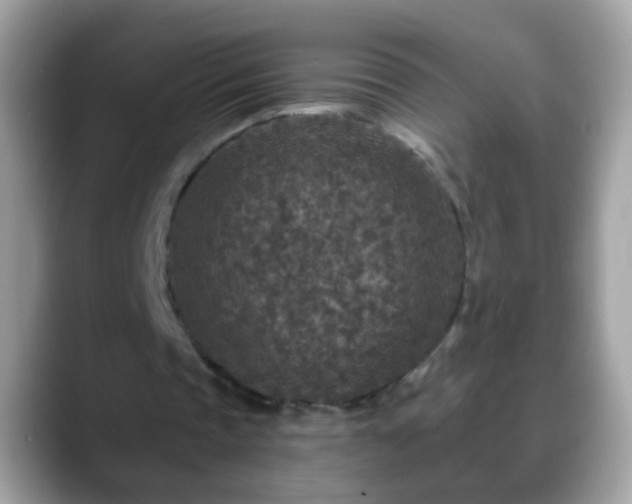 X0000088630337200706011148