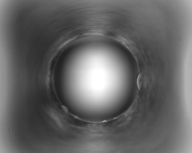 X0000088630338200706011148