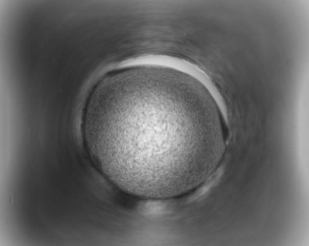 X0000088630341200706011148