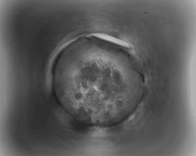 X0000088630343200706011148