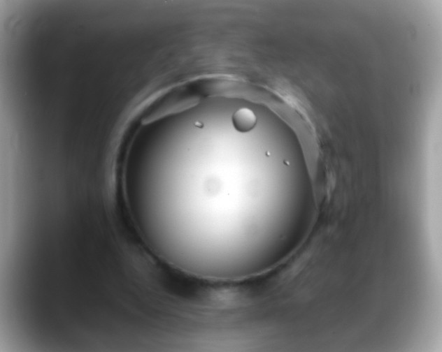 X0000088630344200706011148