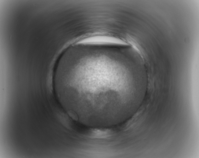 X0000088630346200706011148