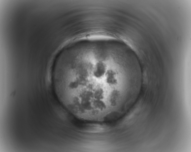 X0000088630347200706011148