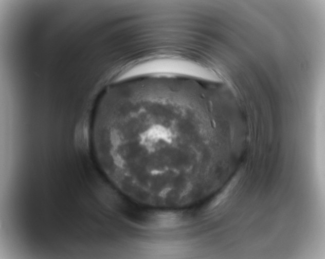 X0000088630349200706011148