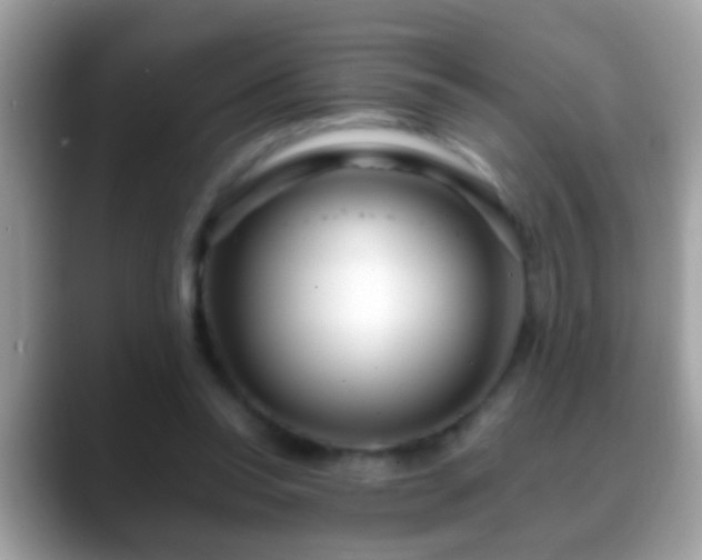 X0000088630350200706011148