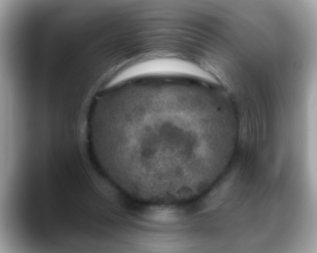 X0000088630351200706011148