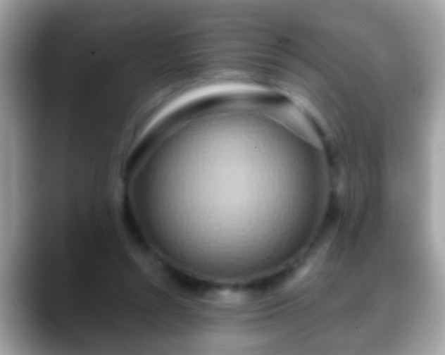 X0000088630352200706011148