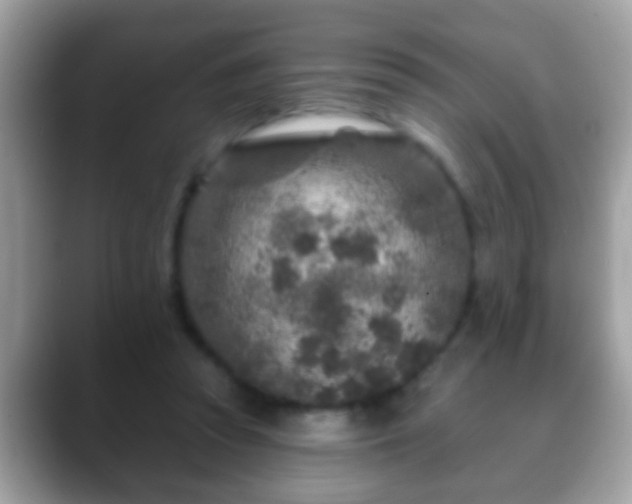 X0000088630353200706011148