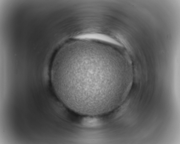 X0000088630354200706011149