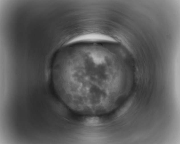 X0000088630355200706011149