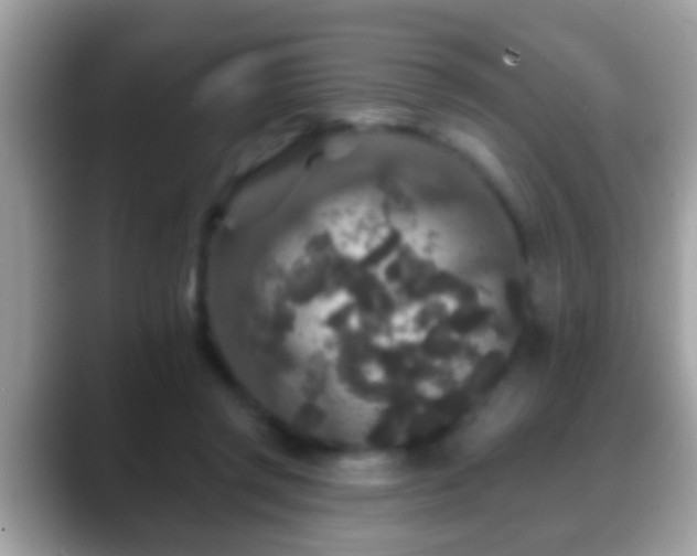 X0000088630357200706011149