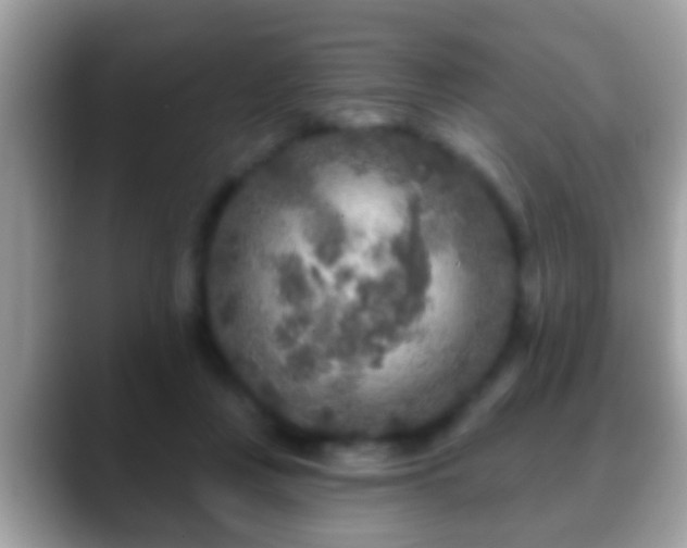 X0000088630359200706011149