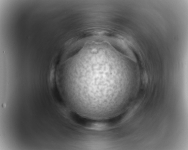 X0000088630360200706011149