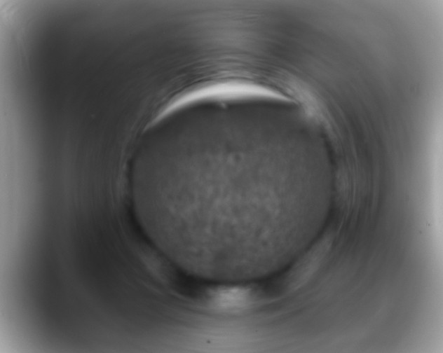 X0000088630361200706011149