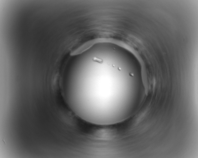 X0000088630364200706011149