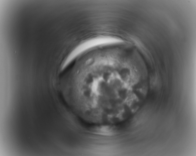 X0000088630365200706011149