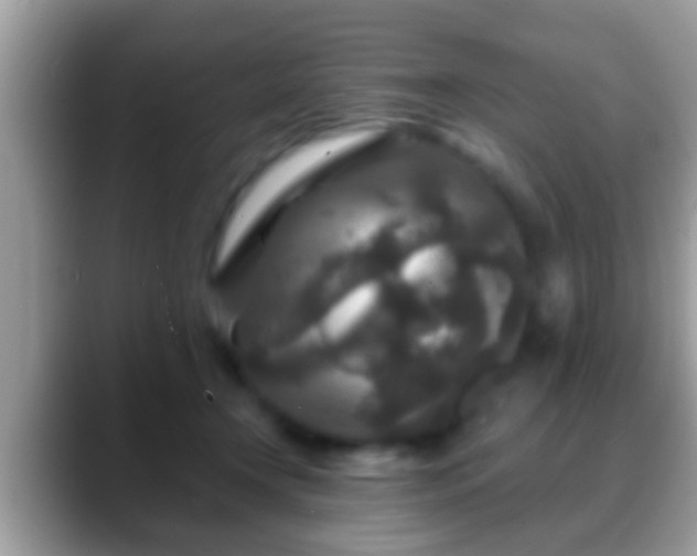 X0000088630366200706011149