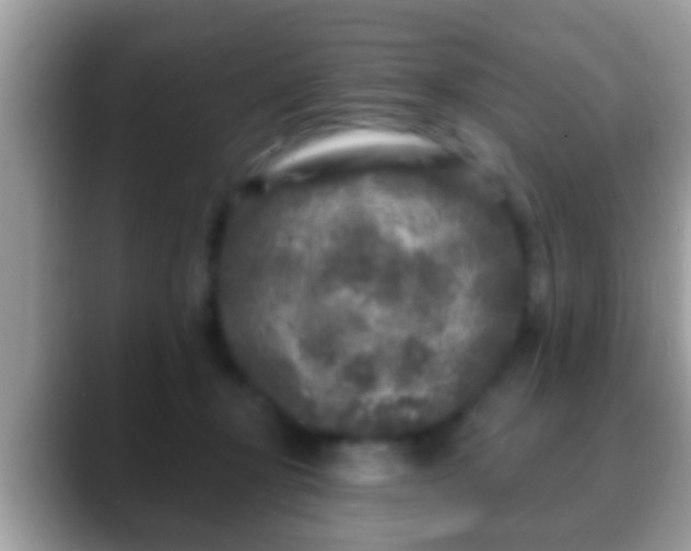 X0000088630367200706011149