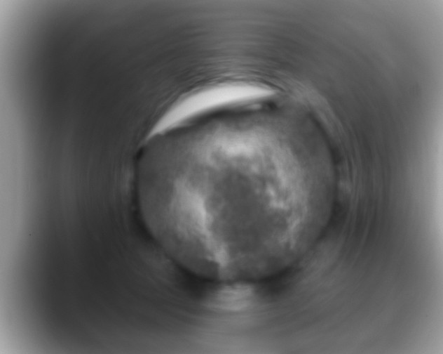 X0000088630369200706011149