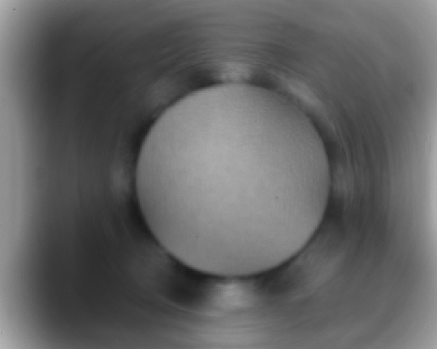 X0000088630370200706011149