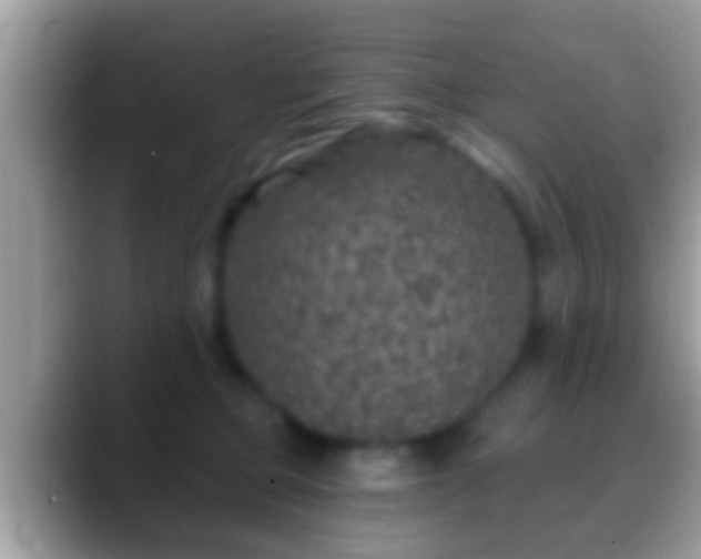 X0000088630373200706011149