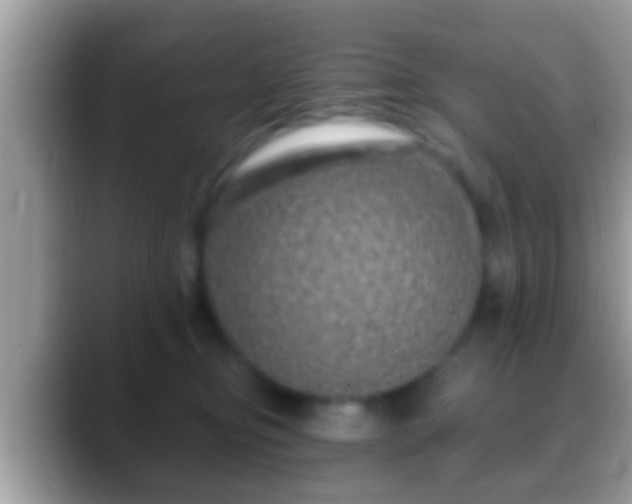 X0000088630374200706011149