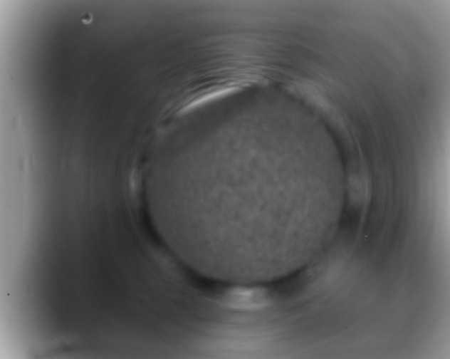 X0000088630375200706011149