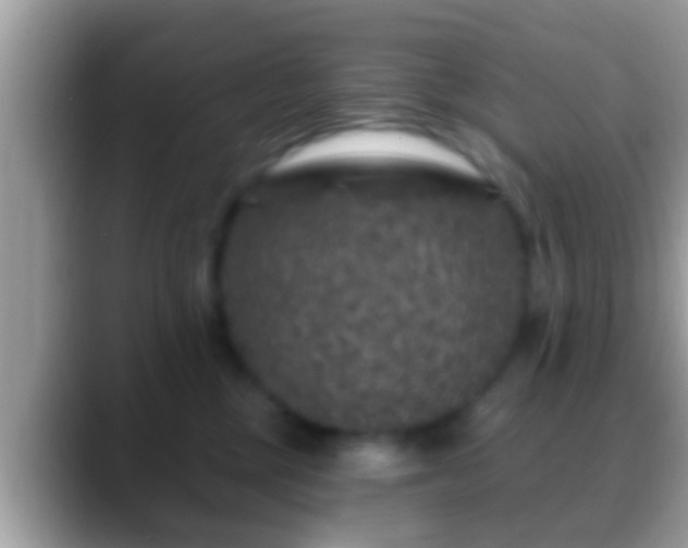 X0000088630377200706011149