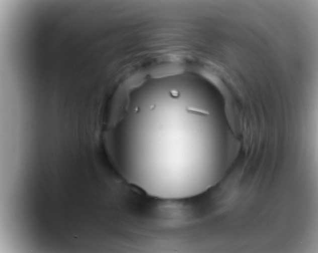 X0000088630380200706011149