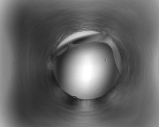 X0000088630384200706011149