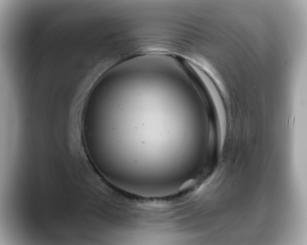 X0000088630385200706011148