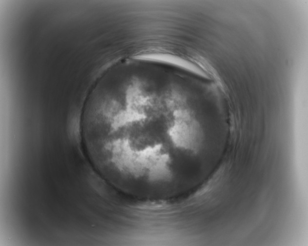 X0000088630386200706011148