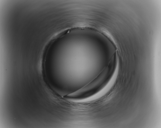 X0000088630387200706011148