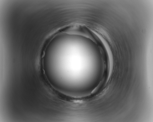 X0000088630388200706011148