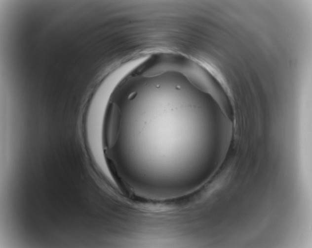 X0000088630389200706011148