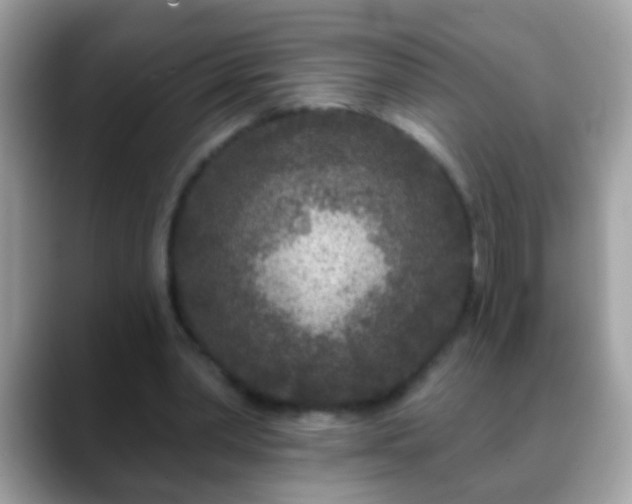 X0000088630390200706011148