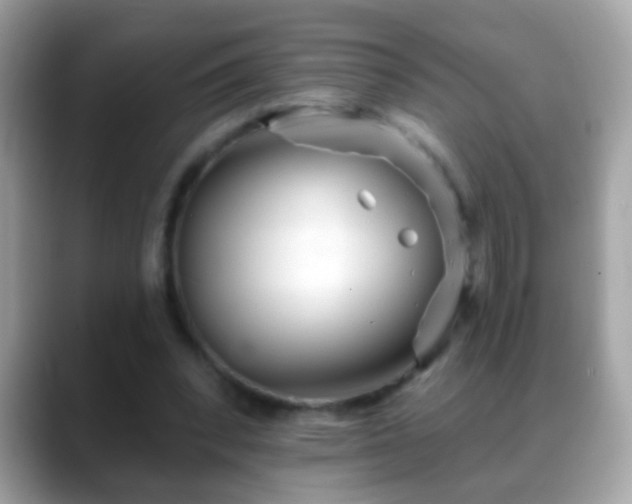 X0000088630392200706011148