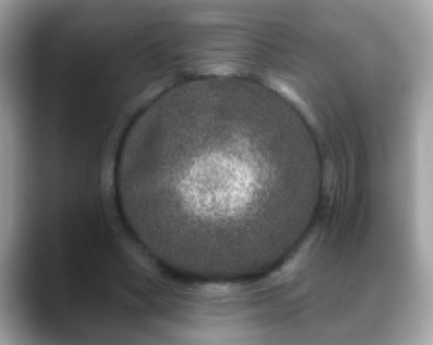 X0000088630394200706011148