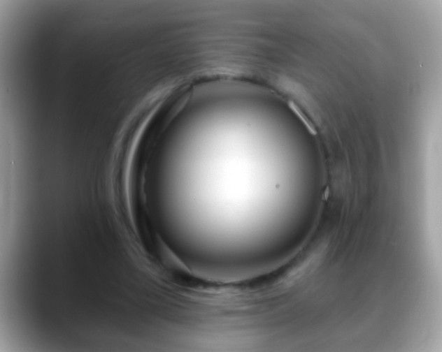 X0000088630395200706011148