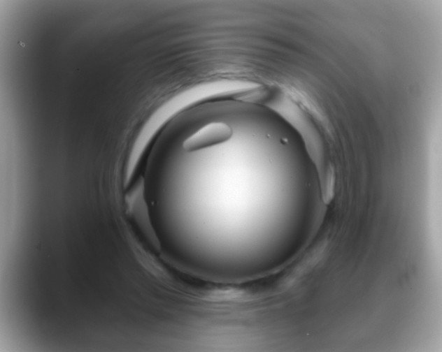 X0000088630397200706011148