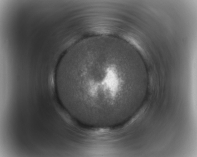 X0000088630398200706011148