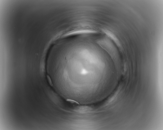 X0000088630399200706011148