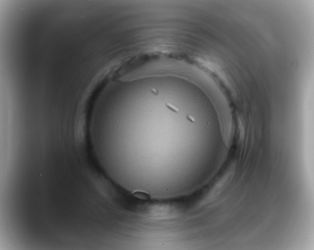 X0000088630400200706011148